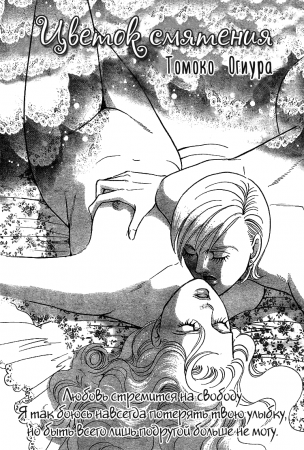 A Bewildering Flower (Цветок смятения)