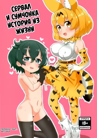 Сервал и Сумчонка, история из жизни (SerKaba Sukebe Book)