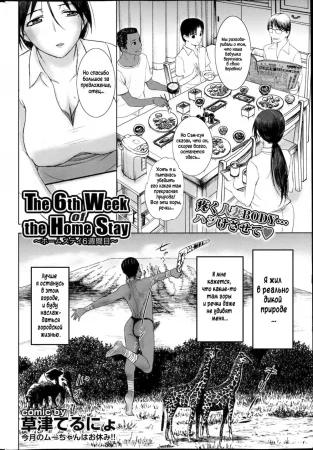 Homestay - глава 4 (The 6th Week of the Home Stay)