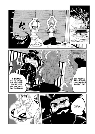 ONE PIECE no Usui Hon