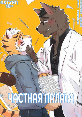 The Private Class in the Health Center (Частная палата)