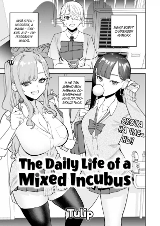 Повседневная жизнь инкуба-полукровки (The Daily Life of a Mixed Incubus)