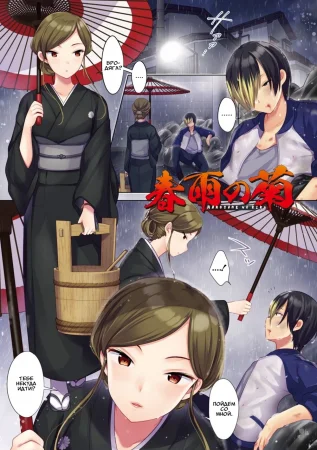 Хризантема весеннего дождя (The Chrysanthemum of the Spring Rain)